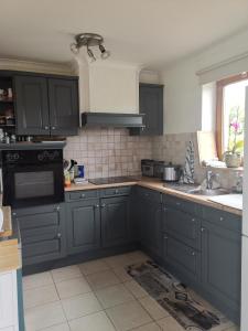 a kitchen with blue cabinets and a sink at Mevazara guesthouse in Malmedy