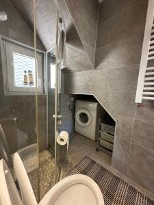 a bathroom with a toilet and a washing machine at Vila Garden River Jahorina - Sarajevo in Mokro +55 photos