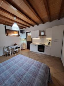 a large kitchen with a bed in a room at Agriturismo Alturetta in Riotorto