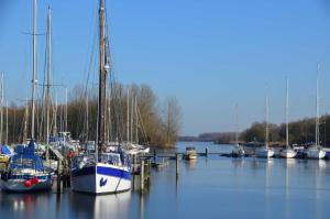 a group of boats docked in a marina on the water at Fischerhaus in Hooksiel +15 photos