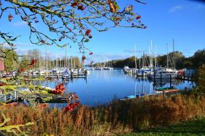 een jachthaven met boten aangemeerd in het water bij Haus Deichblick 1 in Hooksiel