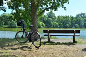 een fiets geparkeerd naast een bank naast een boom bij Haus Deichblick 1 in Hooksiel