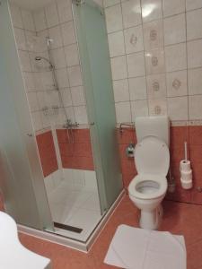 La salle de bains est pourvue d'une douche et de toilettes. dans l'établissement Appartmani Punta, à Umag