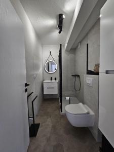 uma casa de banho com um WC, um lavatório e um espelho. em Apartman 33 em Kiseljak