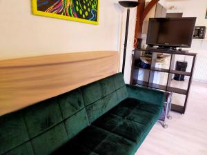 a living room with a green couch and a tv at Studio en RDC avec balcon centre Vitré in Vitré