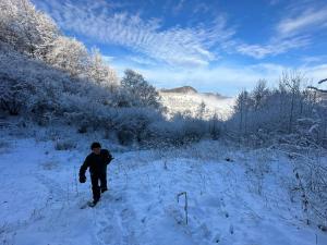 una persona está caminando por la nieve en esquís en Casuta de sub munte, en Lopătari