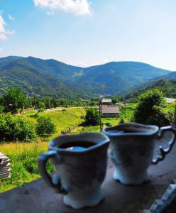dos tazas sentadas en el alféizar de una ventana con vistas a las montañas en Casuta de sub munte, en Lopătari
