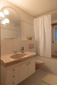 La salle de bains est pourvue d'un lavabo, de toilettes et d'un miroir. dans l'établissement Casa Rosa, à Arisdorf