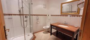 La salle de bains est pourvue d'une douche, d'un lavabo et de toilettes. dans l'établissement Jagersimmerl, à Grünau im Almtal