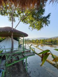 einen Pavillon mit einem Baum neben einem Wasserkörper in der Unterkunft Glamping Laos in Luang Prabang