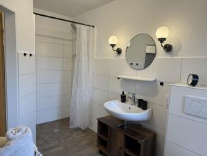 a bathroom with a sink and a mirror and a shower at Ferienhaus Tamko 95161 in Rhauderfehn +9 photos