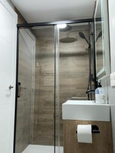 a bathroom with a shower with a sink and a mirror at Biznaga Nevada in Granada