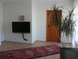 uma sala de estar com uma televisão de ecrã plano na parede em Ferienwohnung Rhönbauer Altengronau em Sinntal