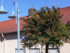 uma árvore em frente a um edifício com uma luz de rua em Ferienwohnung Rhönbauer Altengronau em Sinntal