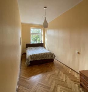 een slaapkamer met een bed en een raam bij Cozy two-room apartment in Druskininkai