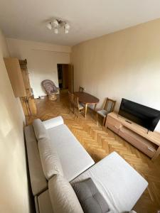 een woonkamer met een bank, een tv en een tafel bij Cozy two-room apartment in Druskininkai