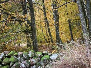 Paesaggio naturale nelle vicinanze della casa vacanze