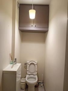 bagno con servizi igienici, lavandino e luce di 2BHK Entire Apartment fully equipped 84m2 a Lione