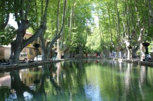 a reflection of trees in a pool of water at Appartement T2 centre village in Cucuron +7 photos