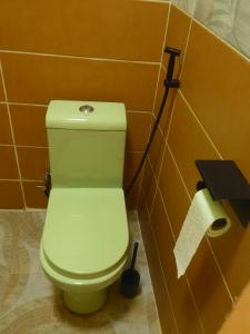 a green toilet in a bathroom with a roll of toilet paper at O Cupidon Doré in Sali Nianiaral