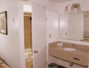un bagno con lavandino e specchio di Executive Inn & Suites a Lakeview