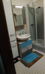 uma casa de banho com um lavatório e um chuveiro em Ferienwohnung Rübenach em Koblenz