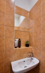 a bathroom with a sink and a tile wall at Finnem Rentals Zíkova in Prague