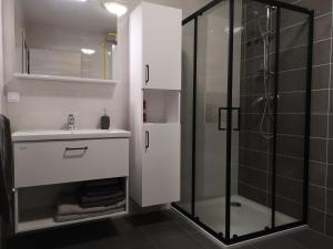 uma casa de banho com um lavatório e um chuveiro em Apartma Elton em Gornja Radgona