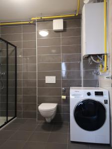 a bathroom with a toilet and a washing machine at Apartma Elton in Gornja Radgona