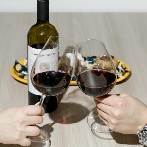 two people holding wine glasses in front of a bottle of wine at San Felice Residence in Bologna