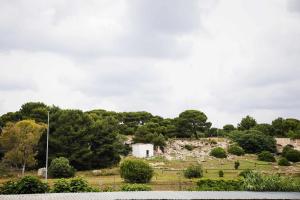 Paesaggio naturale nelle vicinanze dell'appartamento