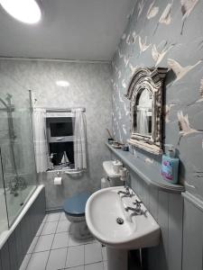 a bathroom with a sink and a toilet and a mirror at Memory Lane Farmhouse Carlingford in Lubhaidh