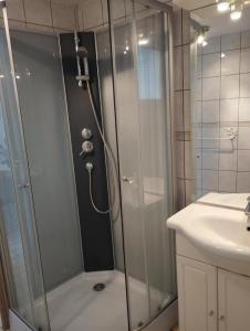 a bathroom with a shower and a sink at Aux logis du Lac de Castillon in Saint-Julien-du-Verdon +29 photos