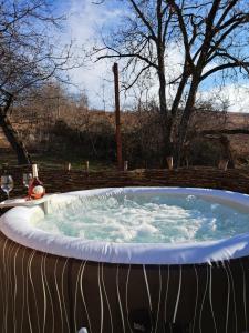Zece HotareCasa Strâmbă的一个带有树木的庭院内的按摩浴缸