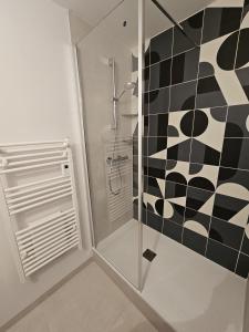 a bathroom with a shower and a glass shower stall at Évasion alpine, Duplex cosy in Annecy