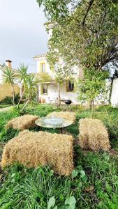 a table and hay bales in a yard at AA Guest - Mulhacén del Jardín Sierra Nevada in Alhendín