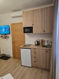 Köök või kööginurk majutusasutuses Studio DIVNA Sarajevo