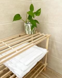 a potted plant sitting on top of a wooden shelf at Marina Casa Vacanza in Capoterra