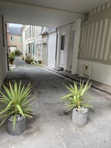 two potted plants are sitting outside of a building at Orion in Trouville-sur-Mer