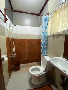 a bathroom with a toilet and a sink at Aquaholik Traveler's Lodge in El Nido