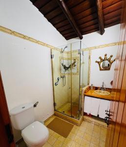 a bathroom with a shower and a toilet and a sink at É um Descanso in Campinho