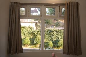 a window with a view of a hedge at The Living Roof in Shillong