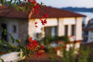 a branch with red flowers in front of a house at Luna Kaş in Kas
