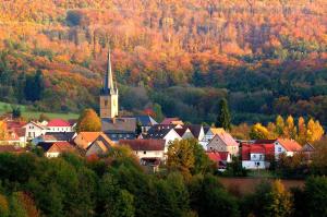 una ciudad con una iglesia en medio de un bosque en Ferienwohnungen Fischer, en Strullendorf