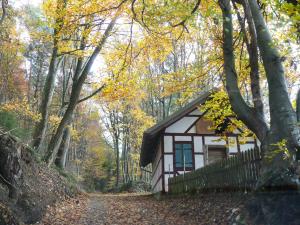 una pequeña casa en medio de un bosque en Ferienwohnungen Fischer, en Strullendorf