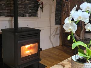 um fogão a lenha numa sala de estar com flores em Chalet Lisa em Morzine