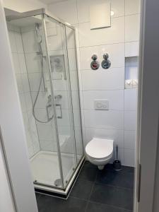 a bathroom with a shower and a toilet at Neckar-Apart in Heilbronn
