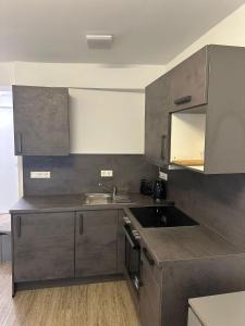a kitchen with a sink and a counter top at Neckar-Apart in Heilbronn