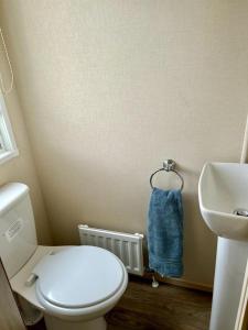 a bathroom with a white toilet and a sink at Beautiful Static Caravan Hoburne Devon Bay in Paignton