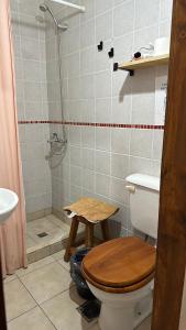 ein Bad mit einem WC und einer Dusche in der Unterkunft Room in El Chalten